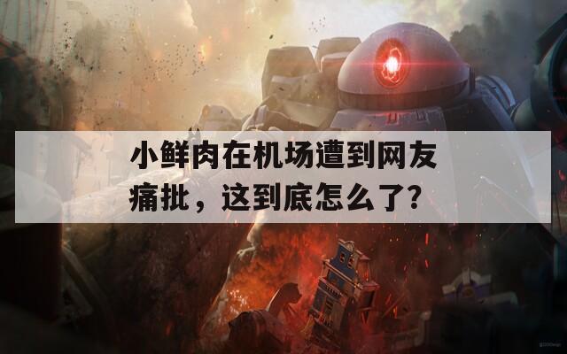 小鲜肉在机场遭到网友痛批，这到底怎么了？