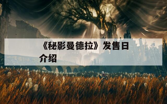 《秘影曼德拉》发售日介绍