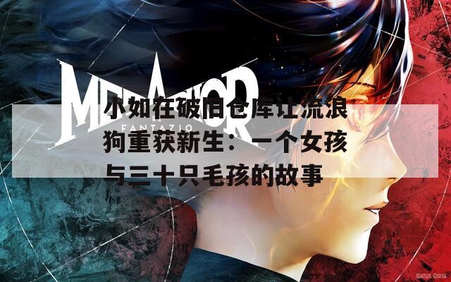 小如在破旧仓库让流浪狗重获新生：一个女孩与三十只毛孩的故事