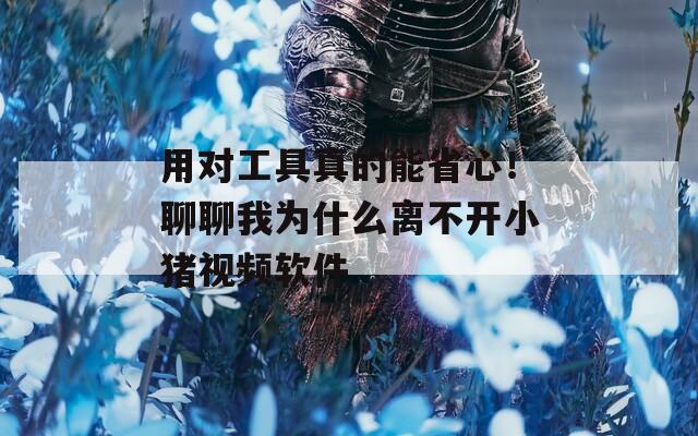用对工具真的能省心！聊聊我为什么离不开小猪视频软件