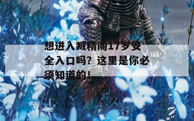 想进入臧精阁17岁安全入口吗？这里是你必须知道的！