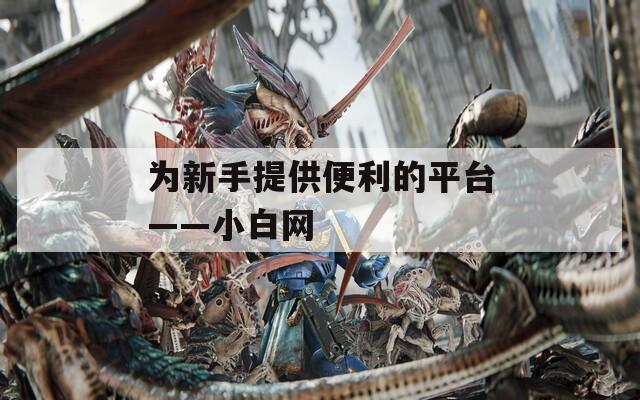为新手提供便利的平台——小白网