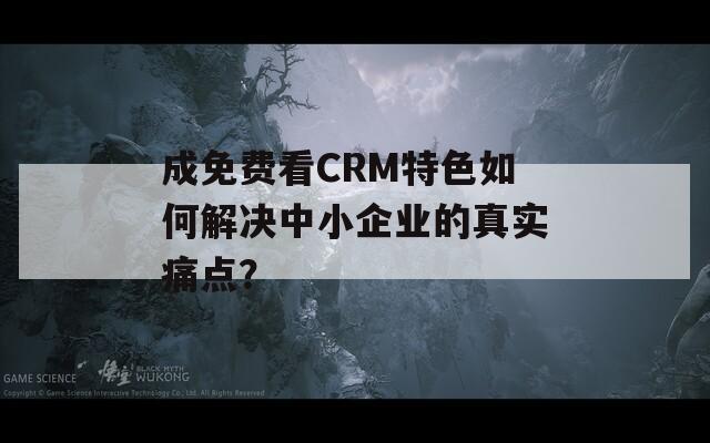 成免费看CRM特色如何解决中小企业的真实痛点？
