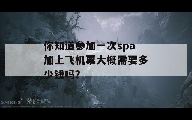 你知道参加一次spa加上飞机票大概需要多少钱吗？
