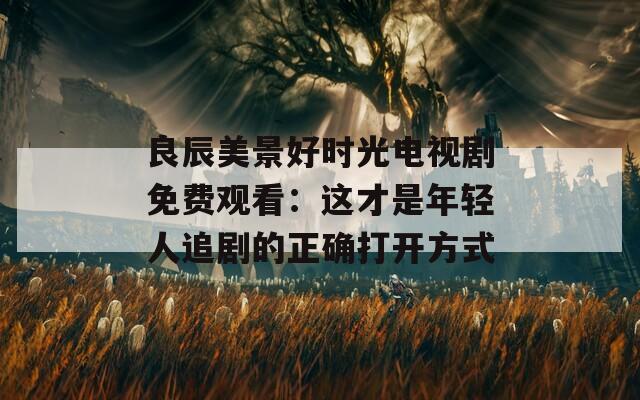 良辰美景好时光电视剧免费观看：这才是年轻人追剧的正确打开方式