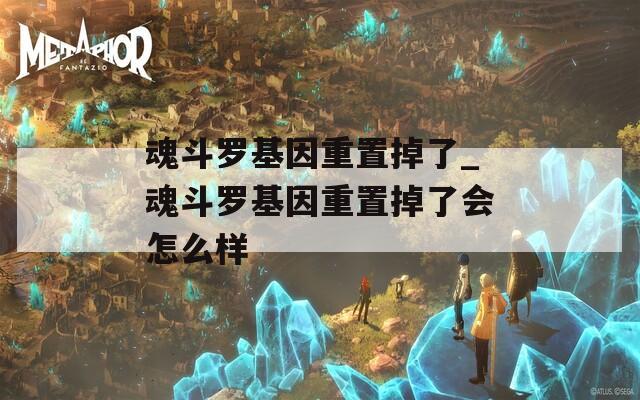 魂斗罗基因重置掉了_魂斗罗基因重置掉了会怎么样