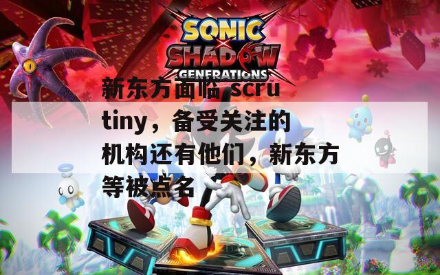 新东方面临 scrutiny，备受关注的机构还有他们，新东方等被点名