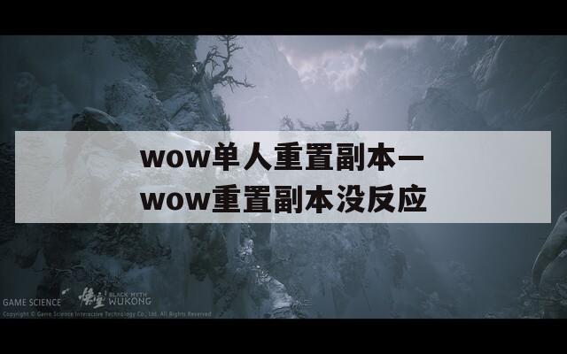 wow单人重置副本—wow重置副本没反应