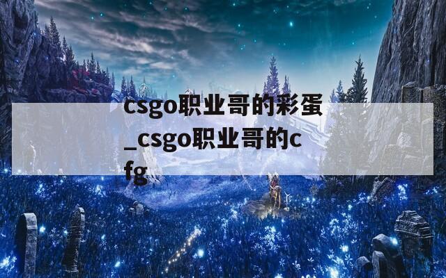 csgo职业哥的彩蛋_csgo职业哥的cfg