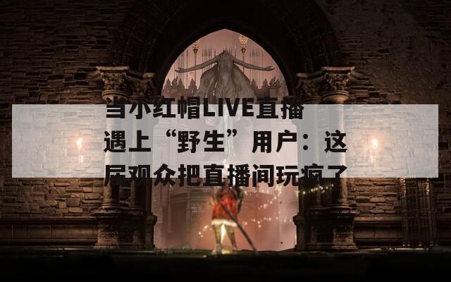 当小红帽LIVE直播遇上“野生”用户：这届观众把直播间玩疯了
