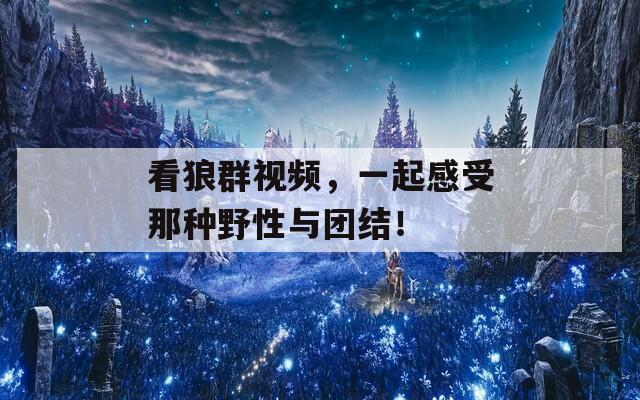 看狼群视频，一起感受那种野性与团结！