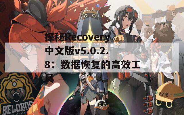 探秘Recovery中文版v5.0.2.8：数据恢复的高效工具