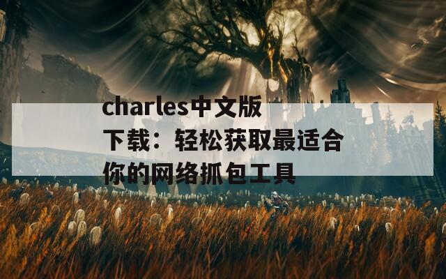 charles中文版下载：轻松获取最适合你的网络抓包工具