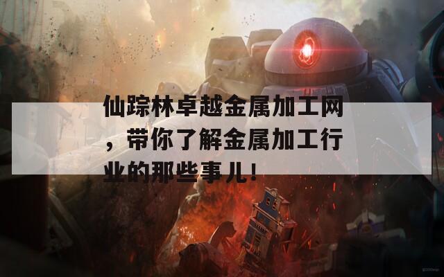仙踪林卓越金属加工网，带你了解金属加工行业的那些事儿！