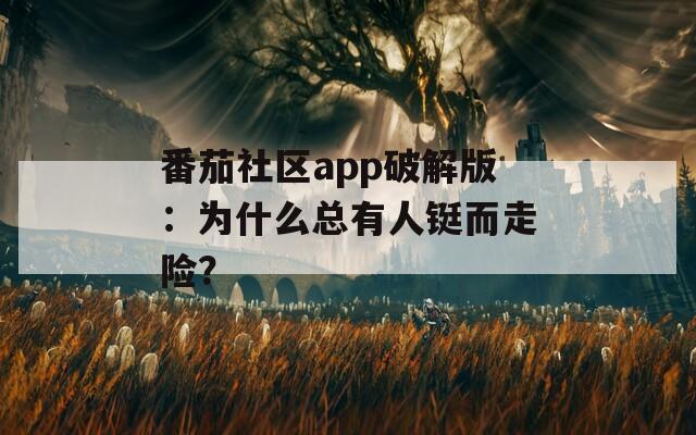 番茄社区app破解版：为什么总有人铤而走险？