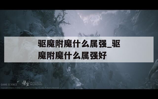 驱魔附魔什么属强_驱魔附魔什么属强好