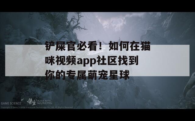 铲屎官必看！如何在猫咪视频app社区找到你的专属萌宠星球