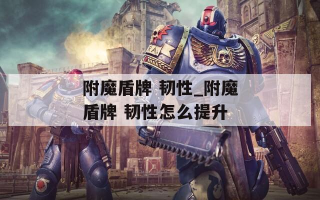 附魔盾牌 韧性_附魔盾牌 韧性怎么提升