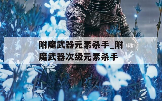 附魔武器元素杀手_附魔武器次级元素杀手
