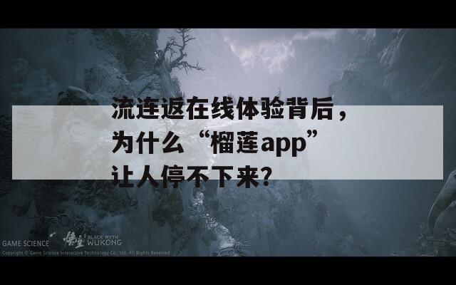 流连返在线体验背后，为什么“榴莲app”让人停不下来？