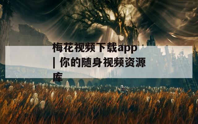 梅花视频下载app | 你的随身视频资源库