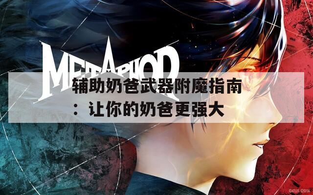 辅助奶爸武器附魔指南：让你的奶爸更强大