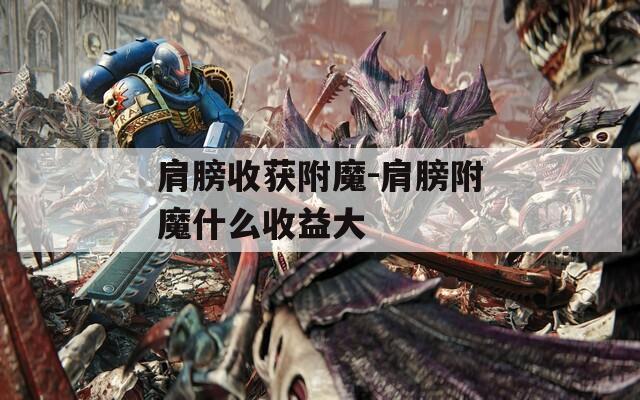 肩膀收获附魔-肩膀附魔什么收益大