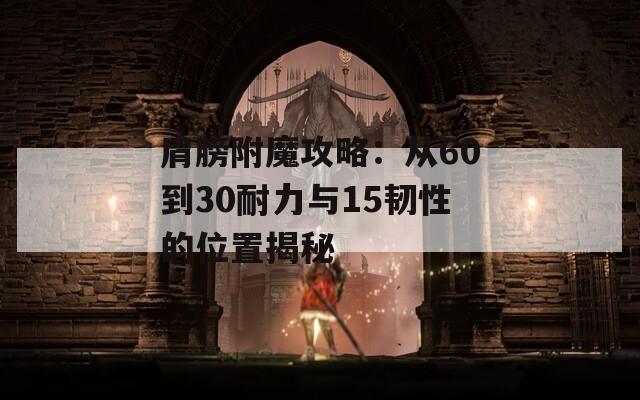 肩膀附魔攻略：从60到30耐力与15韧性的位置揭秘