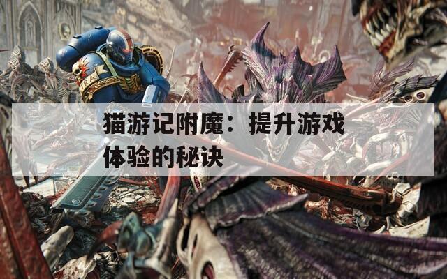 猫游记附魔：提升游戏体验的秘诀