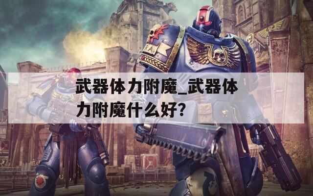 武器体力附魔_武器体力附魔什么好？