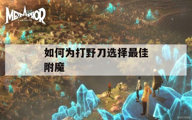 如何为打野刀选择最佳附魔