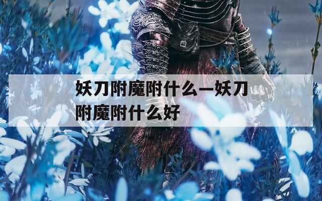 妖刀附魔附什么—妖刀附魔附什么好