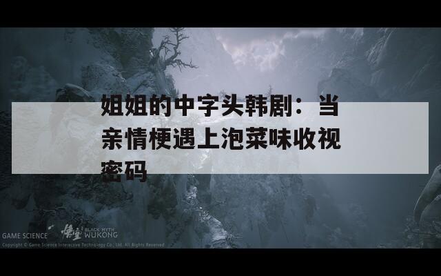 姐姐的中字头韩剧：当亲情梗遇上泡菜味收视密码