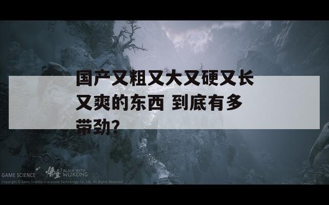 国产又粗又大又硬又长又爽的东西 到底有多带劲？