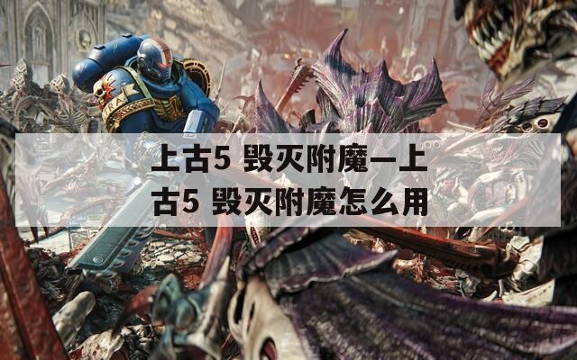 上古5 毁灭附魔—上古5 毁灭附魔怎么用