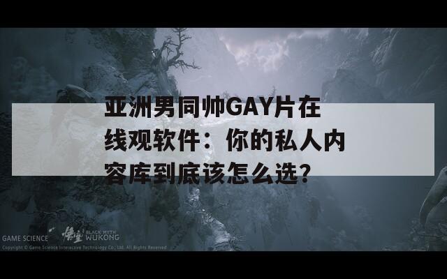 亚洲男同帅GAY片在线观软件：你的私人内容库到底该怎么选？