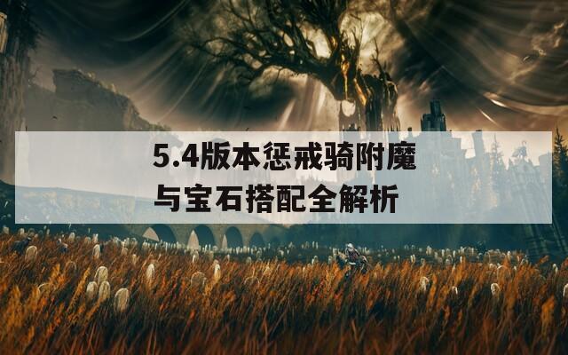 5.4版本惩戒骑附魔与宝石搭配全解析