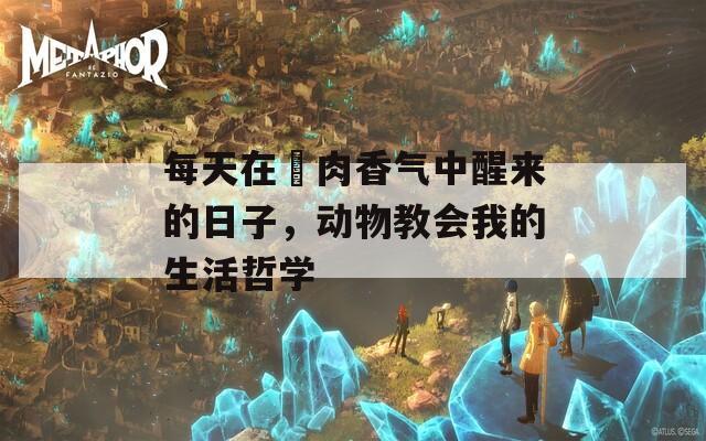 每天在汎肉香气中醒来的日子，动物教会我的生活哲学