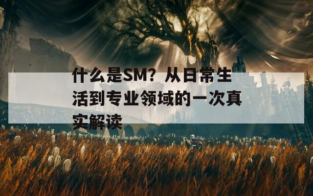 什么是SM？从日常生活到专业领域的一次真实解读